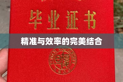 黑山精准与效率的完美结合